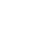 shacman-logo-1400x1400-(2)